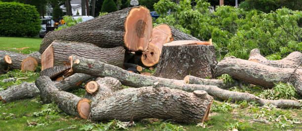 Best Soil Testing and Treatment  in Wood River, IL